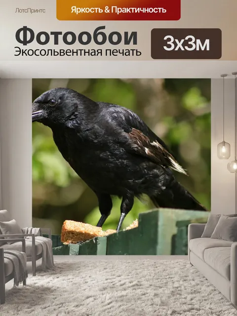 Фотообои Ворона