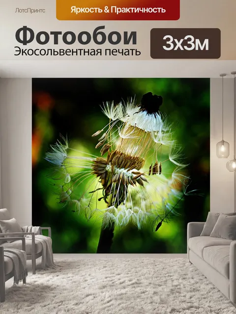 Фотообои Одуванчик