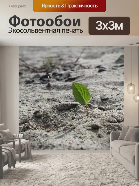 Фотообои Пляж