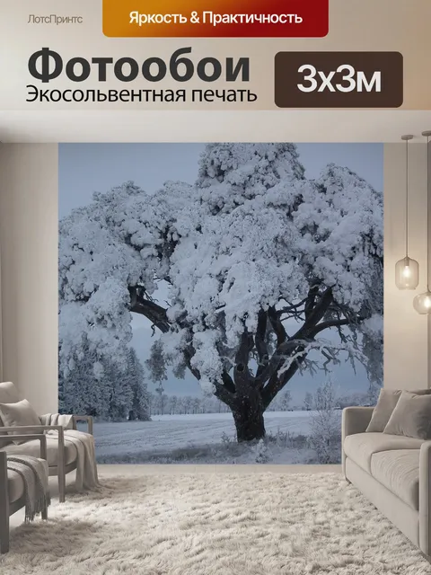 Фотообои Холодный