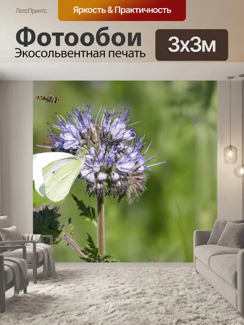 Фотообои Бабочка