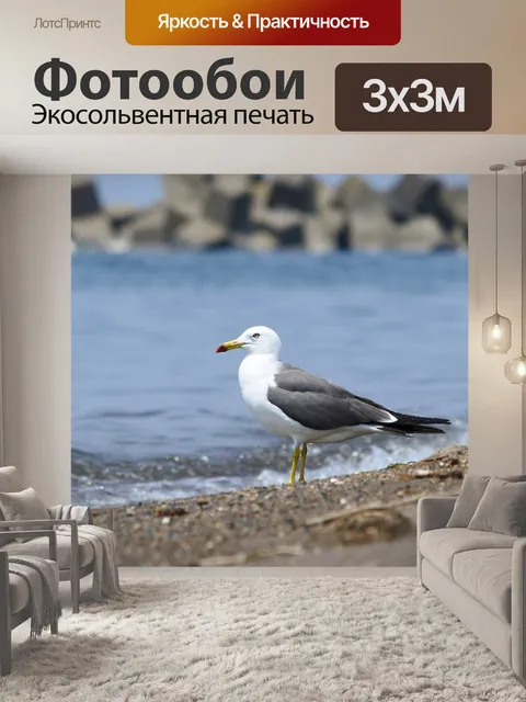 Фотообои Животное