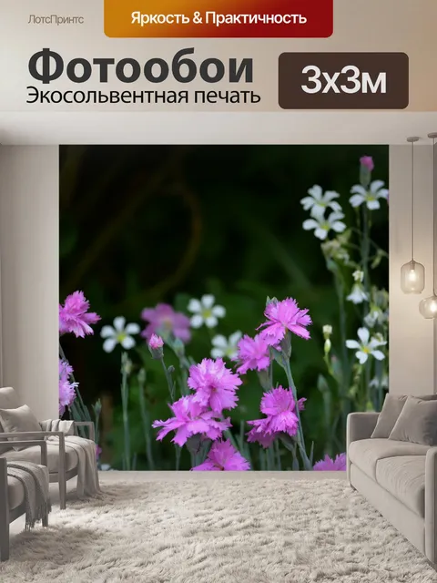 Фотообои Цветы