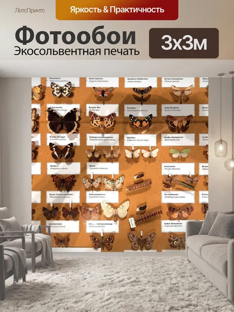 Фотообои Бабочки