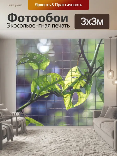 Фотообои Монстера