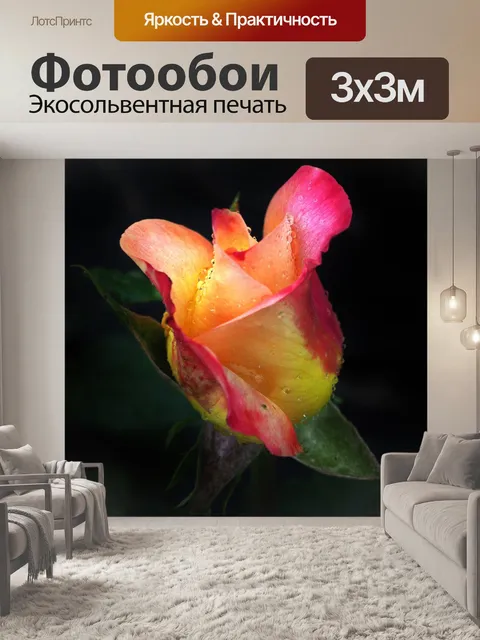 Фотообои Цветы
