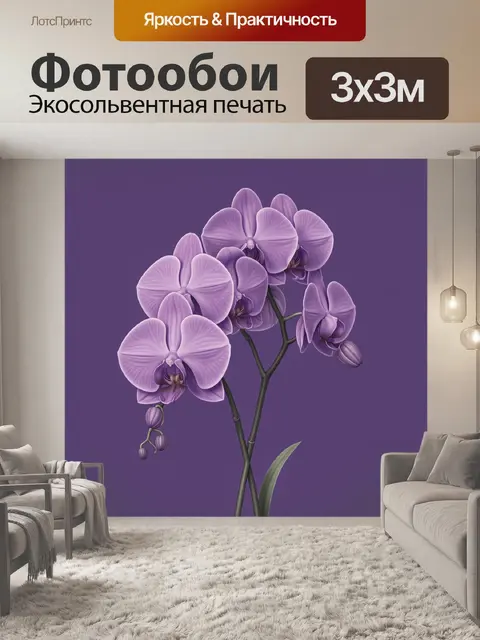Фотообои Лиловая орхидея в цвету