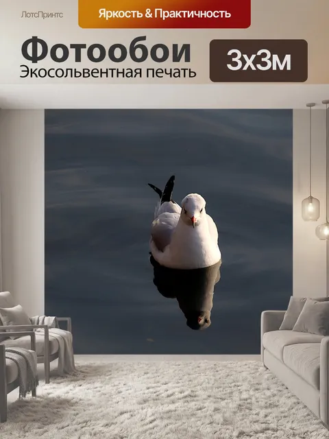 Фотообои Чайка