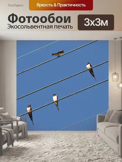 Фотообои Природа