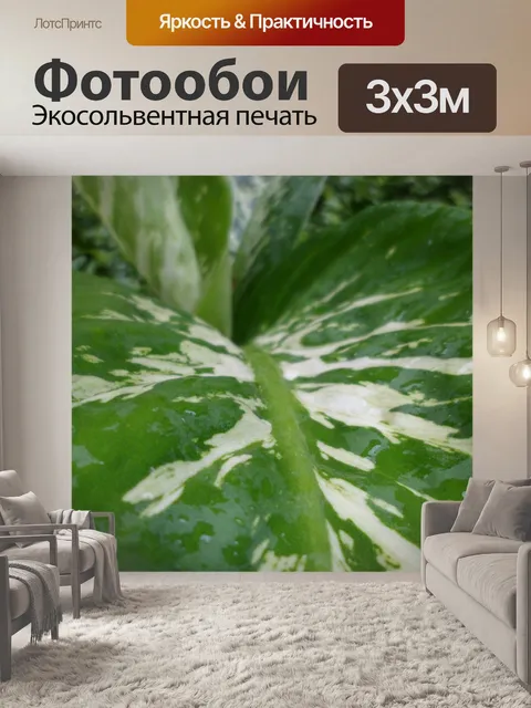 Фотообои Лист