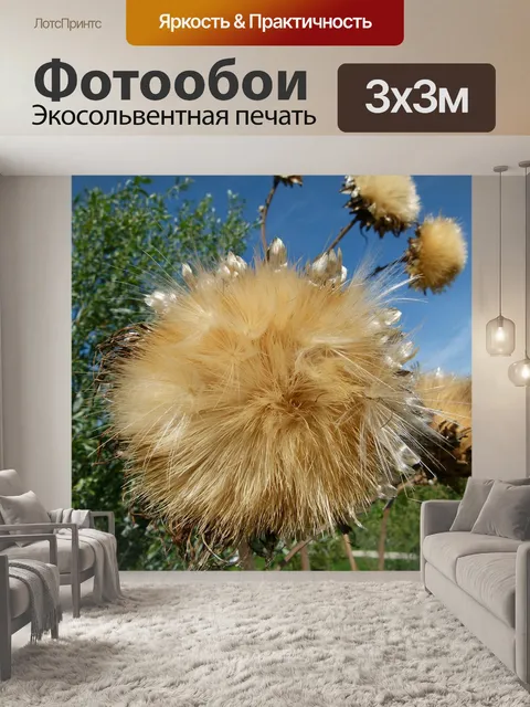 Фотообои Цветы