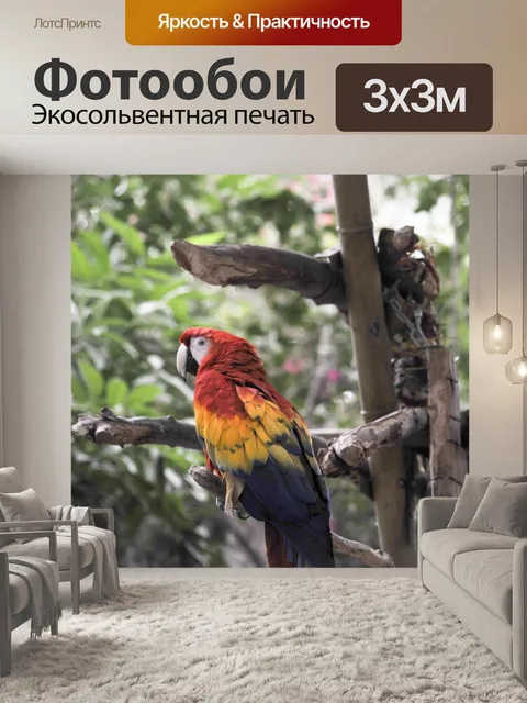 Фотообои Попугай ара