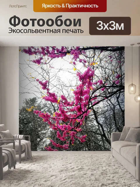 Фотообои Цветы