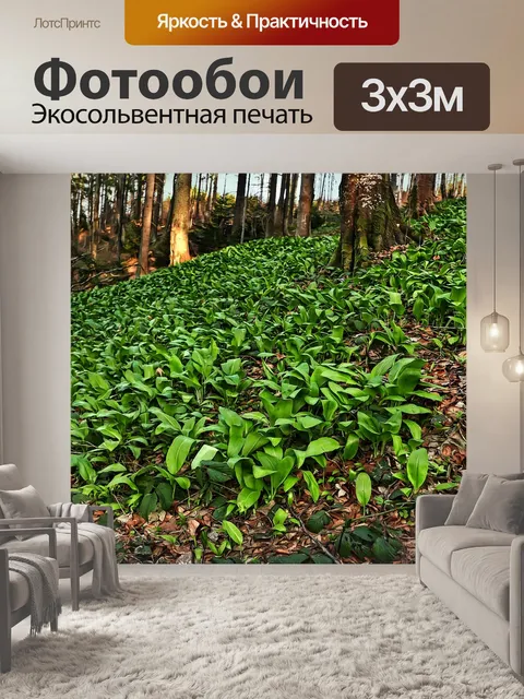 Фотообои Черемша