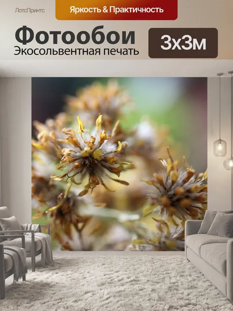 Фотообои Цветок