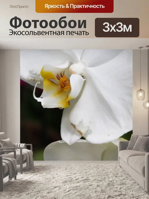 Фотообои Цветы