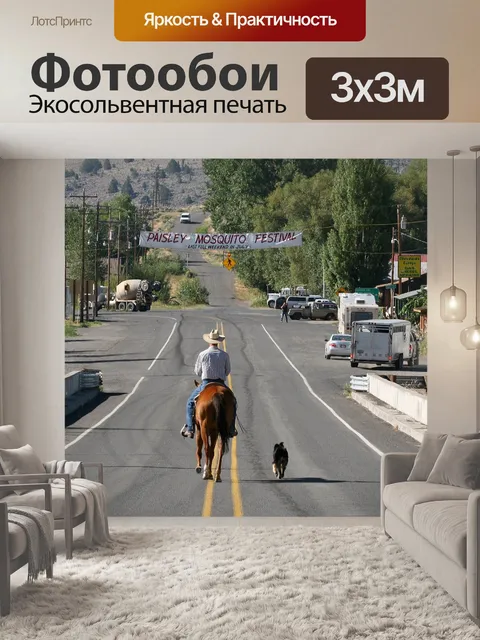 Фотообои Ковбой