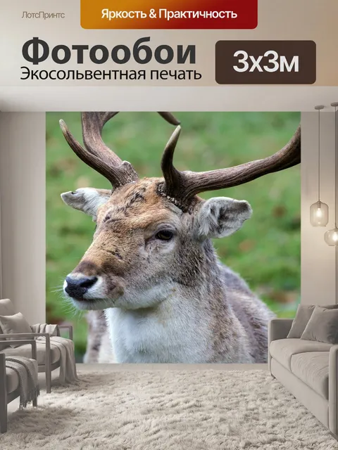Фотообои Олень