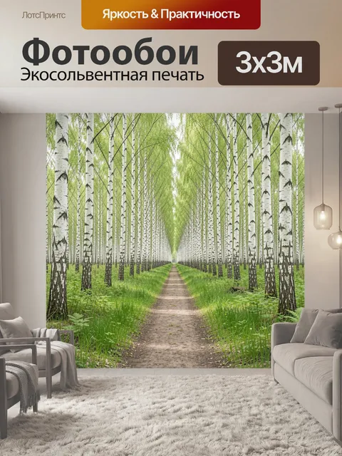Фотообои Березовая аллея с тропинкой