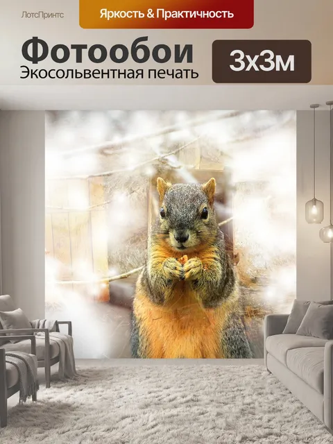 Фотообои Белка