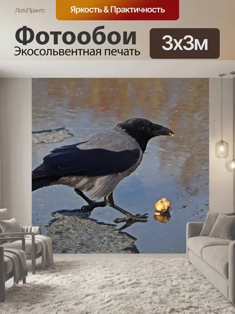 Фотообои Птица