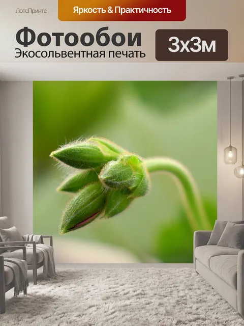 Фотообои Цветы