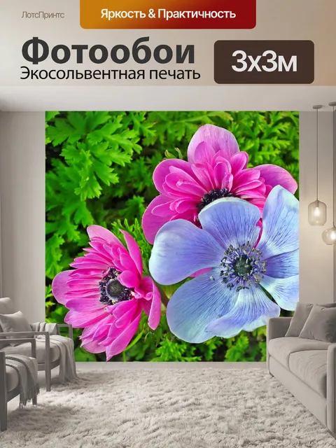 Фотообои Анемоны