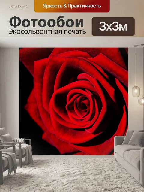 Фотообои Красная роза