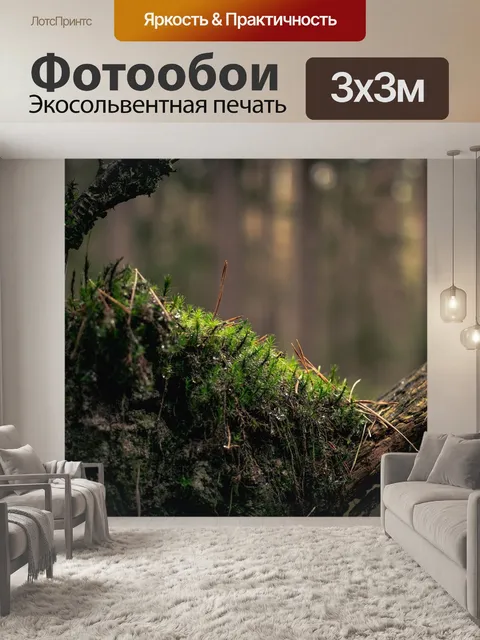 Фотообои Мох