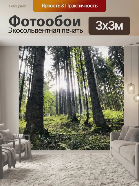 Фотообои Лес