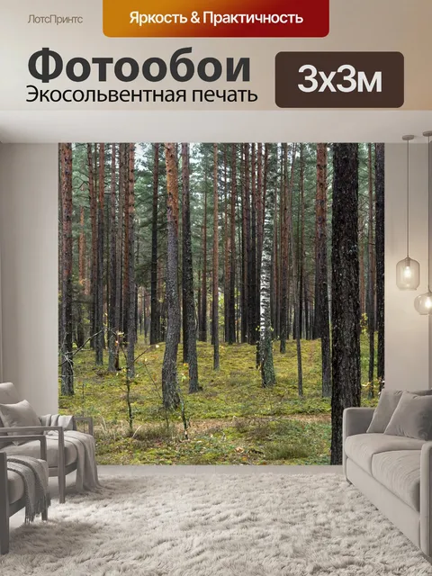 Фотообои Лес