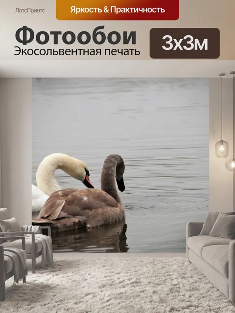 Фотообои Лебеди