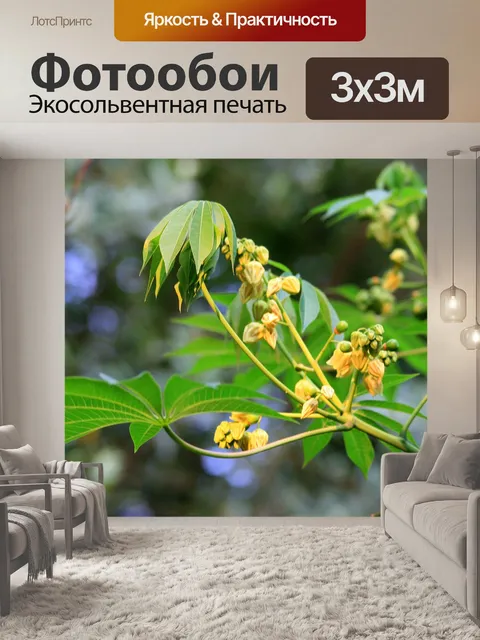 Фотообои декоративные папайя дерево