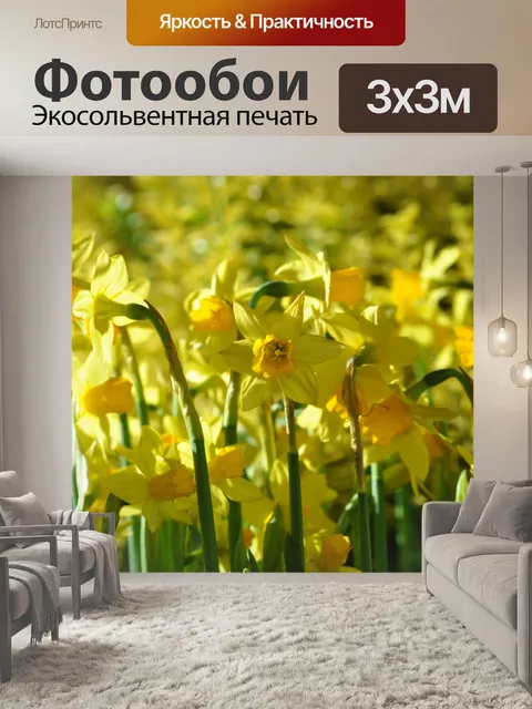 Фотообои Нарциссы в солнечном свете