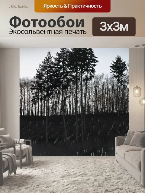 Фотообои Природа