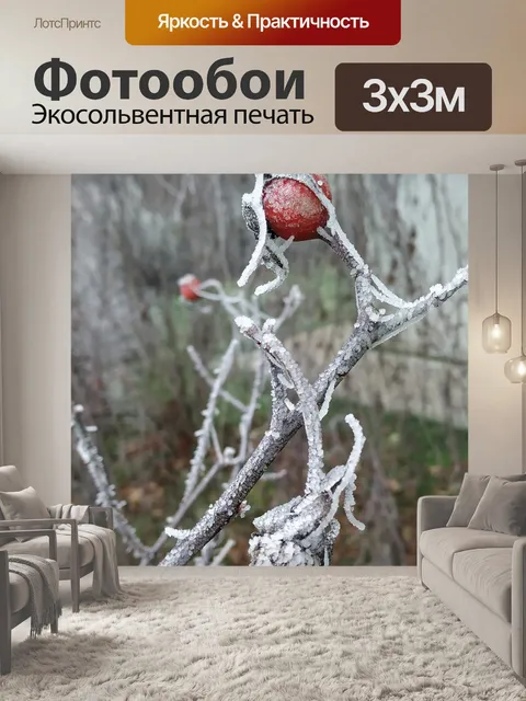 Фотообои Розовый