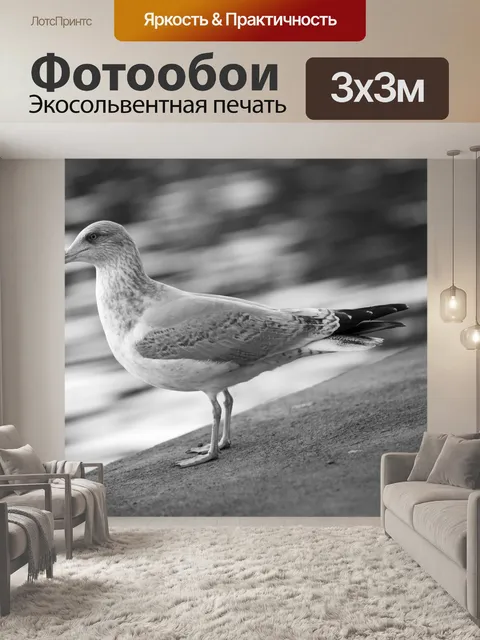 Фотообои Seagulls
