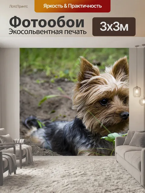 Фотообои Собака