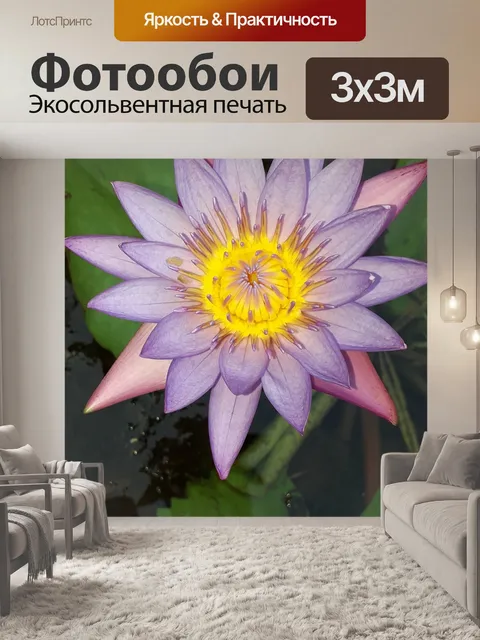 Фотообои Цветок
