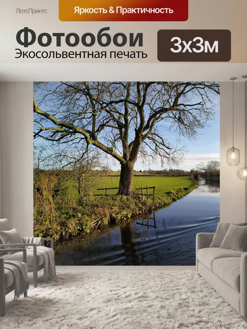 Фотообои Канал