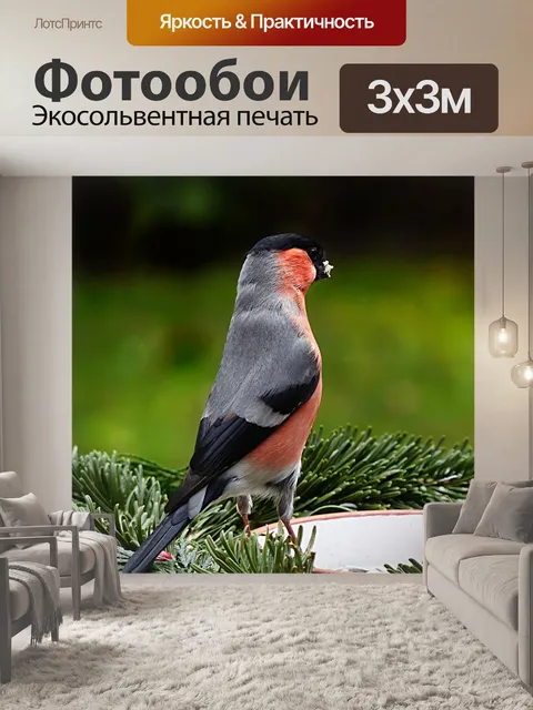 Фотообои Птица