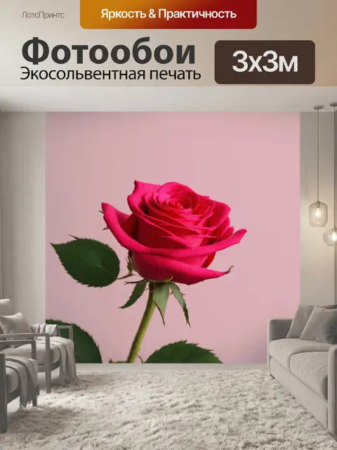 Фотообои розы в стиле минимализм
