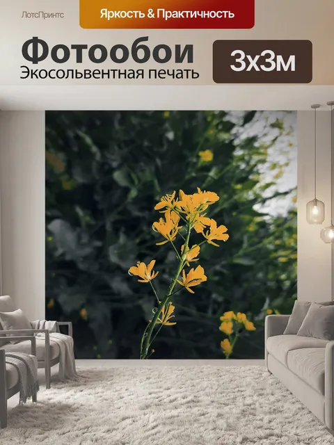 Фотообои Горчица цветы