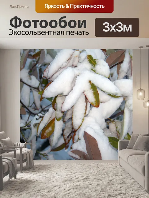 Фотообои Снег на листьях