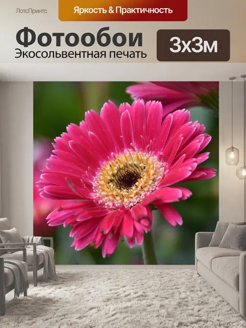 Фотообои Цветок