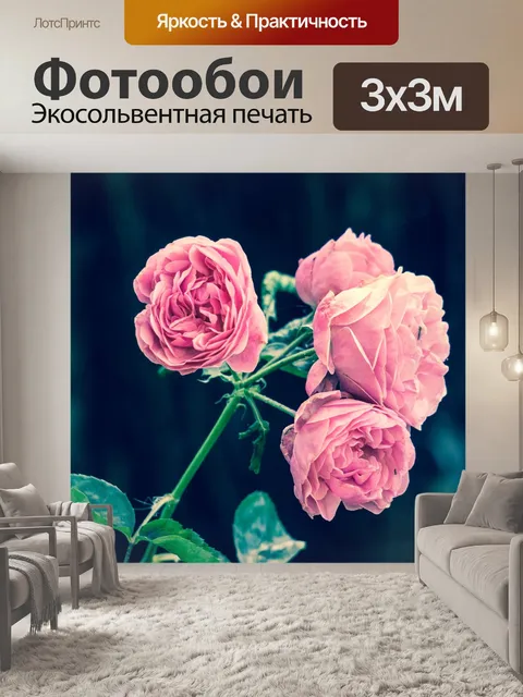 Фотообои Розовые розы