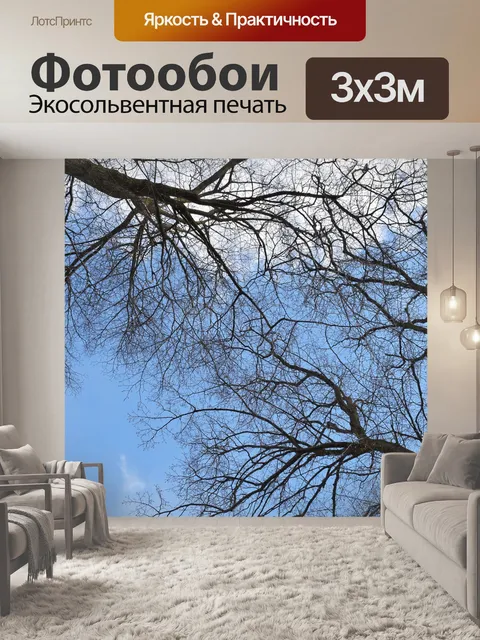 Фотообои Лес