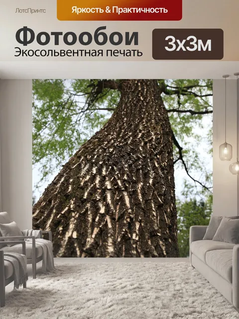Фотообои Дерево
