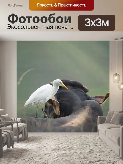 Фотообои Животные