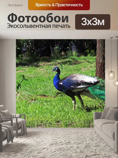 Фотообои Природа